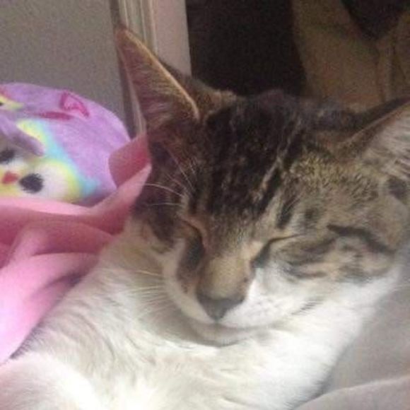 Meet your Posher, Vanessa - Picture 1 of 1